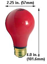 Incandescent Incandescent A19 60A99R