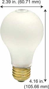 Incandescent Incandescent A19 100AX99IF/SS INFINITII