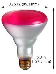 Incandescent Colored Reflector - Par 75R30PK
