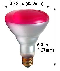 Incandescent Incandescent BR30 65BR30/PK/RP
