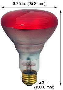 Incandescent Colored Reflector - Par 75R30R