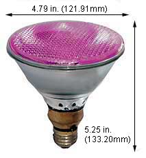 Incandescent Incandescent Par38 100PAR