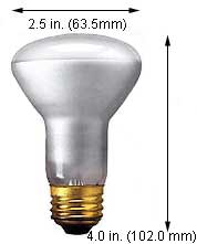 Incandescent Incandescent R20 100R20FL/S