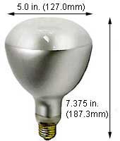 Incandescent Incandescent ER40 120ER40