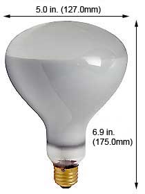 Incandescent Incandescent R40 300R40FL