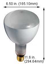 Incandescent Incandescent R52 500R52
