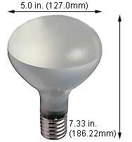 Incandescent Incandescent R40 500R3FL/RS