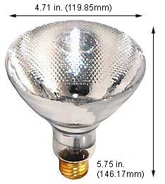 Incandescent Incandescent Par38 K250BR38FL