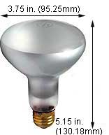 Incandescent Incandescent R30 75R30X/FL