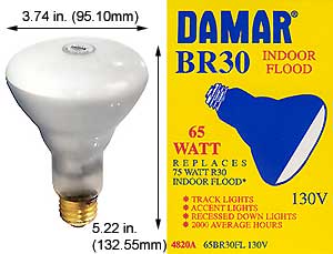 Incandescent Incandescent BR30 65BR30FL