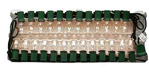 Incandescent Christmas Bulbs - Strings C7 Strings C7-25-C-G-12