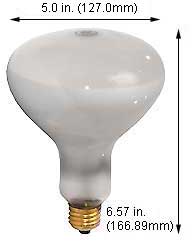Incandescent Incandescent R40 400R40/FL 120V SWIMMING POOL