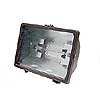 L50-BR 500W QUARTZ FIXTURE WITH HINGE