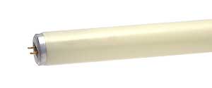 Fluorescent Fluorescent Tubes T12 Medium BiPin F40IF