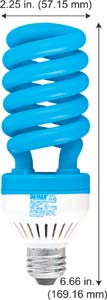 Fluorescent Compact Fluorescent Colored H30SL/65/BLUE/SS 