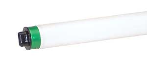 Fluorescent Fluorescent Tubes T8 High Output F48T8/TL841/HO