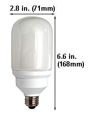 Fluorescent Compact Fluorescent Cylindrical ET15W/T20/64K DAYLIGHT 