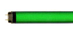 Fluorescent Fluorescent Safe-Shield T8 Medium BiPin F25T8/GREEN  JACKETED