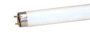 Fluorescent Fluorescent Tubes T8 Medium BiPin F40T8 TRUETONE 841    