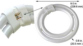 Fluorescent Circline Circle Fluorescent TCP32058-35K 