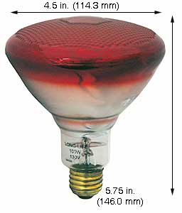 Incandescent Christmas Bulbs - Strings BR38 Bulbs 100BR38R