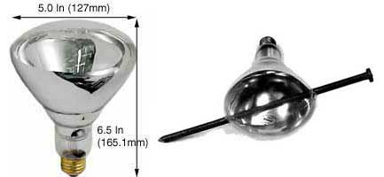 Incandescent Incandescent BR40 100BR40FL/SS SAFE-SHIELD