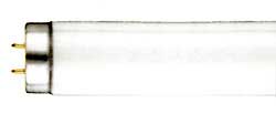 Fluorescent Fluorescent Tubes T10 Medium BiPin F20T10/BL/RS