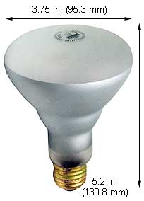 Incandescent Incandescent BR30 85BR30FL