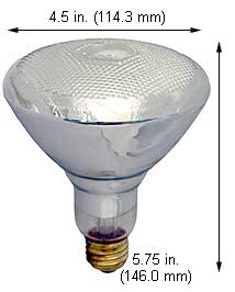 Incandescent Incandescent BR38 100BR38FL/SS