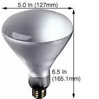 Incandescent Incandescent BR40 65BR40FL/SS