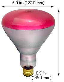 Incandescent Colored Reflector - Par 65BR40SP/PK PINK 130V