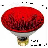 Incandescent Colored Reflector - Par 75PAR30QFL/SN/RED