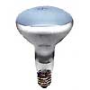 75R30PL PLANT LIGHT