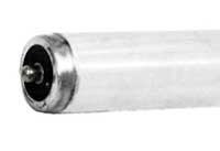 ***CLOSEOUT*** Fluorescent T12 F84T12CW 