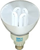 EL25W/R40/FL/5K