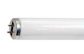 ***CLOSEOUT*** Fluorescent T12 F34/D841/SS/ECO