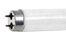 Fluorescent Black Light Black Light Bulbs F30T8BL/SS